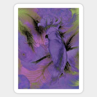 LILAC VIOLET PARROT COCKATOO EXOTIC TROPICAL POSTER PRINT Sticker